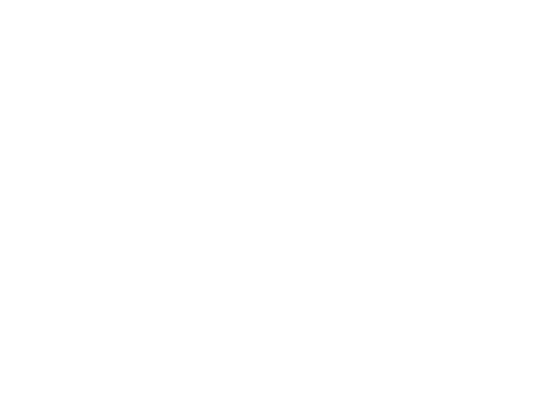 Pearls Fitness Marketing Brand Design & Performance Strategy Light logo